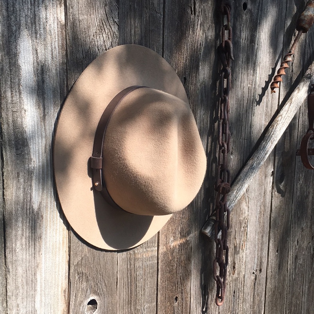 Tan felt hat